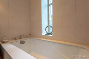 118 E Erie St, Chicago, IL 60611 - Photo 40