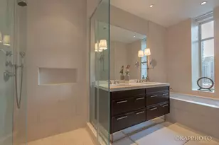 118 E Erie St, Chicago, IL 60611 - Photo 38