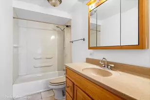 4618 Custer Ave, Brookfield, IL 60513 - Photo 12