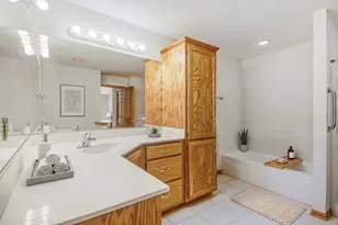 17805 Marley Creek Blvd, Orland Park, IL 60467 - Photo 18