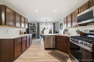 585 Vine St, Hampshire, IL 60140 - Photo 10