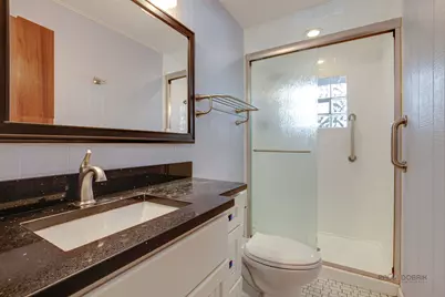 5251 Greenleaf Street, Skokie, IL 60077 - Photo 20