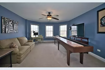 10 Raes Creek Court, Bolingbrook, IL 60490 - Photo 50