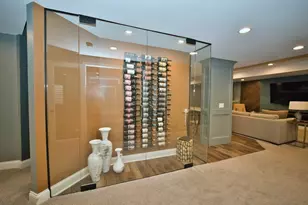 10 Raes Creek Ct, Bolingbrook, IL 60490 - Photo 54