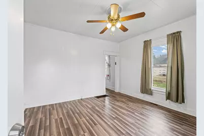 232 W William Street, Bement, IL 61813 - Photo 4