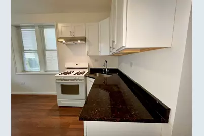 4045 S Richmond Street #1, Chicago, IL 60632 - Photo 2