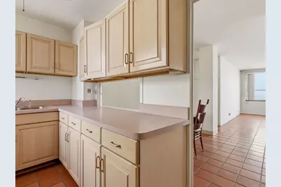 5530 S Shore Drive #17A, Chicago, IL 60637 - Photo 6
