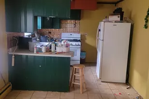 927 Walter St, Lemont, IL 60439 - Photo 6