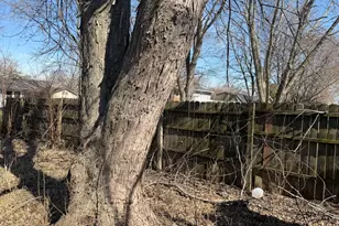 134 Dolores St, Oswego, IL 60543 - Photo 18