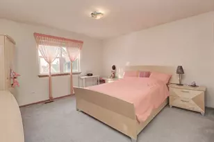 59 Austrian Dr, Romeoville, IL 60446 - Photo 10