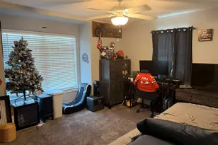 735 Peacock Pl, Manteno, IL 60950 - Photo 14