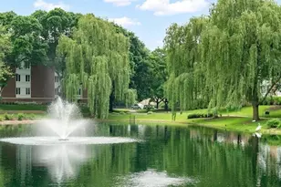 225 Lake Blvd, Buffalo Grove, IL 60089 - Photo 38