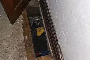 12024 S Wallace St, Chicago, IL 60628 - Photo 48