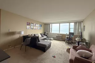 1150 N Lake Shore Dr, Chicago, IL 60611 - Photo 4