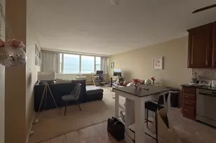 1150 N Lake Shore Dr, Chicago, IL 60611 - Photo 6