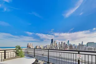 88 W Schiller St, Chicago, IL 60610 - Photo 32