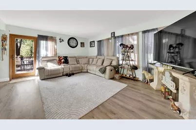 7245 W Dralle Road, Monee, IL 60449 - Photo 2