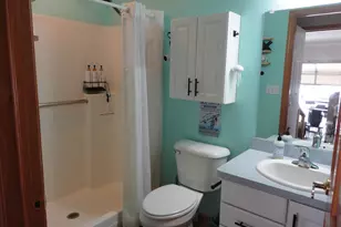 144 Winding Trail, Diamond, IL 60416 - Photo 18