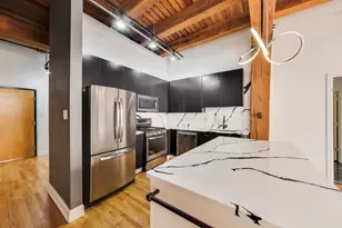 1133 S Wabash Ave, Chicago, IL 60605 - Photo 8