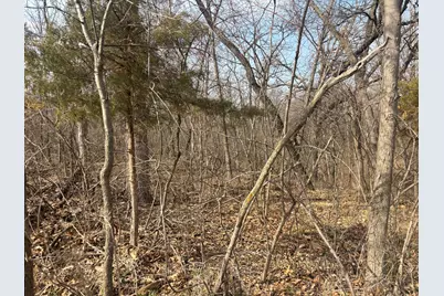 1038 Hidden Valley Drive, Varna, IL 61375 - Photo 2