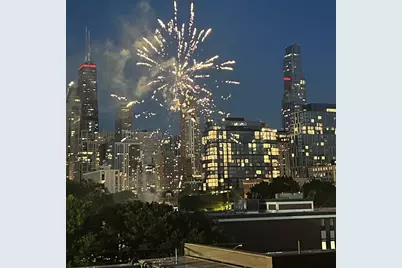 437 W Hobbie Street, Chicago, IL 60610 - Photo 34