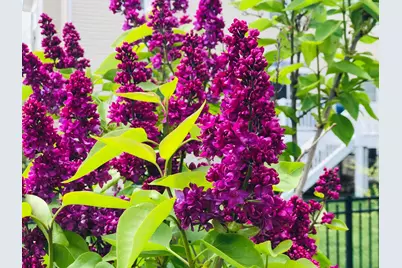 1064 Hampton Lane, Yorkville, IL 60560 - Photo 20