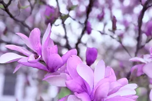 1064 Hampton Ln, Yorkville, IL 60560 - Photo 4