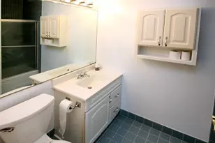 16 E Old Willow Rd, Prospect Heights, IL 60070 - Photo 20