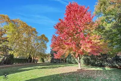 10427 Penny Court, Frankfort, IL 60423 - Photo 58