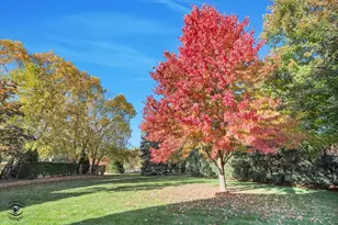 10427 Penny Ct, Frankfort, IL 60423 - Photo 58