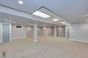 10427 Penny Ct, Frankfort, IL 60423 - Photo 42