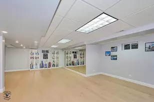 10427 Penny Ct, Frankfort, IL 60423 - Photo 48