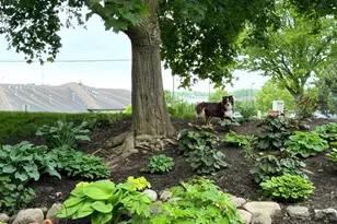 388 Narragansett Ct, Crystal Lake, IL 60012 - Photo 38