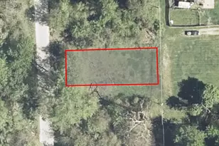 13819 S Troy Ave, Robbins, IL 60472 - Photo 1