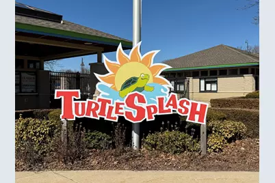 557 Ingalton Avenue, West Chicago, IL 60185 - Photo 38