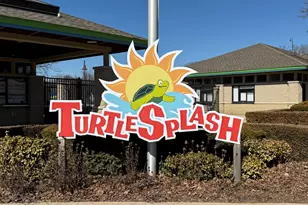 557 Ingalton Ave, West Chicago, IL 60185 - Photo 38