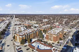 10 S Wille St, Mount Prospect, IL 60056 - Photo 16