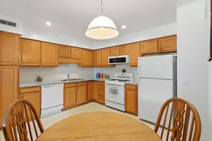 10 S Wille St, Mount Prospect, IL 60056 - Photo 8