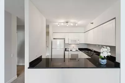 [Address not provided], Chicago, IL 60611 - Photo 6