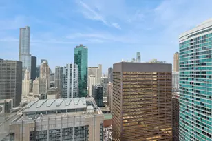 [Address not provided], Chicago, IL 60611 - Photo 16