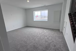 12387 Tinsley St, Huntley, IL 60142 - Photo 22