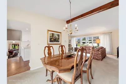 703 E Redwood Lane, Arlington Heights, IL 60004 - Photo 8