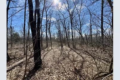 0 1725 E Street, Tiskilwa, IL 61368 - Photo 1