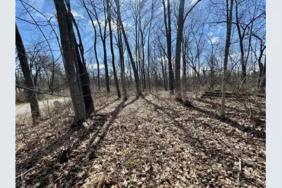 0 1725 E Street, Tiskilwa, IL 61368 - Photo 2