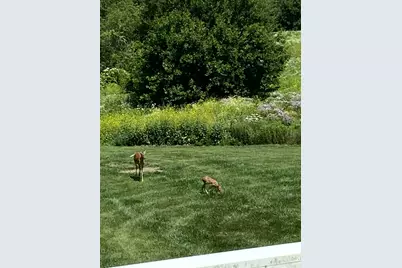 1200 E James B Young Road, Galva, IL 61434 - Photo 80