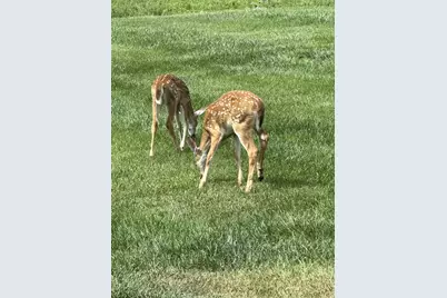 1200 E James B Young Road, Galva, IL 61434 - Photo 78