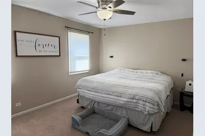 668 Niagara Drive, Bolingbrook, IL 60440 - Photo 12