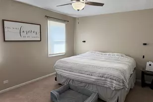 668 Niagara Dr, Bolingbrook, IL 60440 - Photo 12