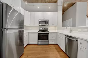 1071 W 15th St, Chicago, IL 60608 - Photo 4