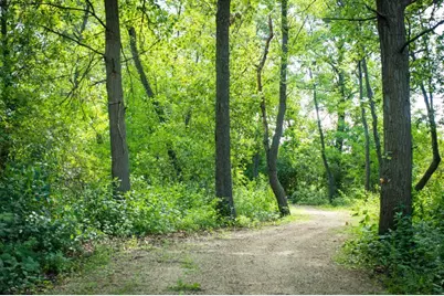 1542 Meadow View Lane, Grayslake, IL 60030 - Photo 38